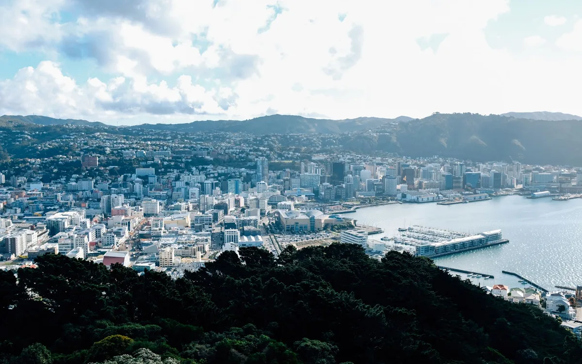 Wellington city and harbour seen from the hills above