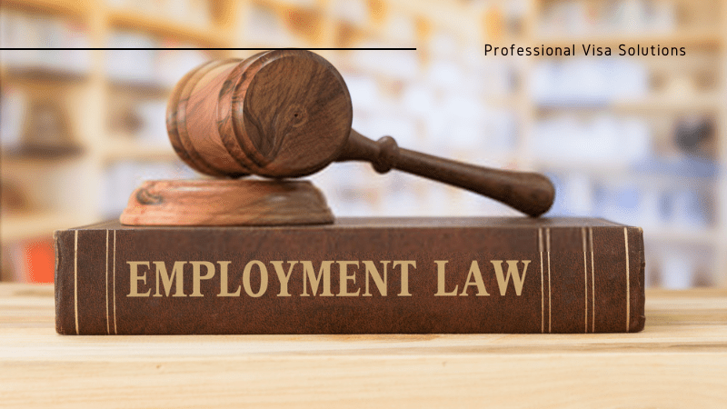 Changes to the Employment Laws that are Going to Affect the NZ Employees