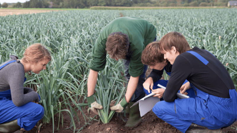 Why Should International Students Pursue a Degree in Agriculture From New Zealand?