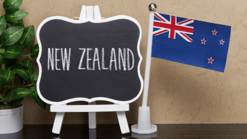 The Secret Weapon for a Successful Move to New Zealand: A Licensed Immigration Advisor
