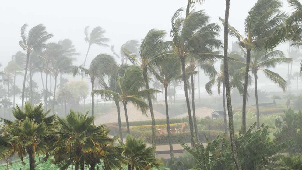 New Zealand Government Approves $25 Million Extension for Cyclone-Affected Businesses