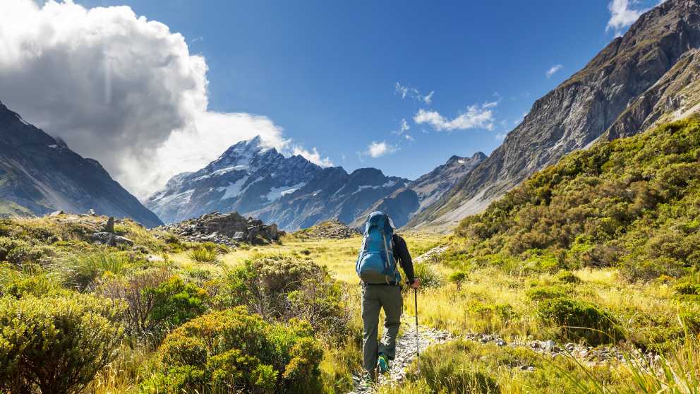 Eco-Tourism in New Zealand: Preserving Nature While Exploring