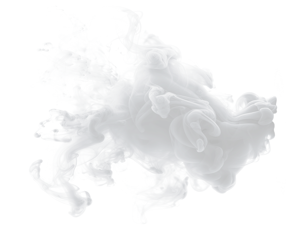 Professional Visa Solutions